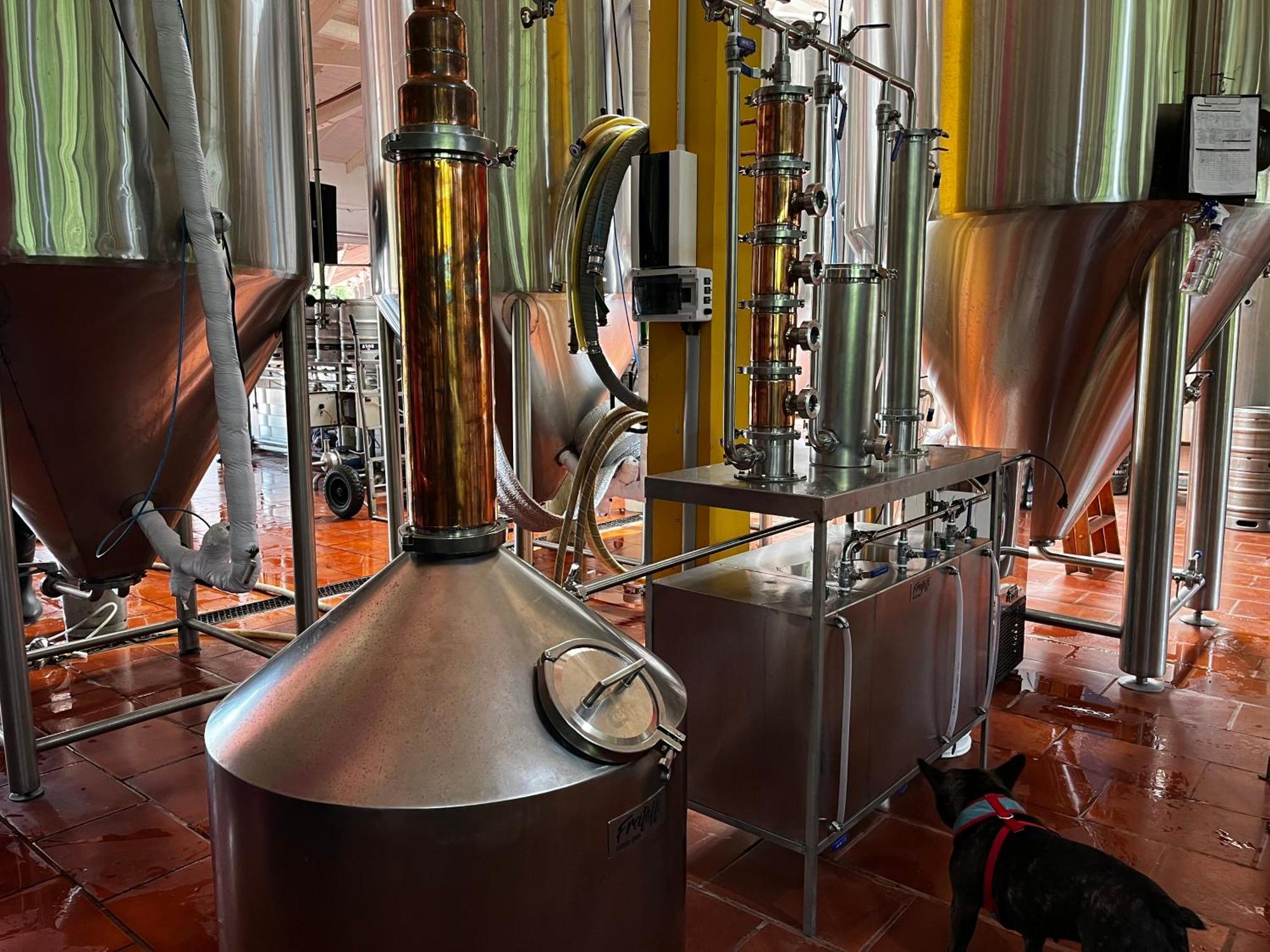 Beer Hotel Iguazu Puerto Iguazu Ngoại thất bức ảnh