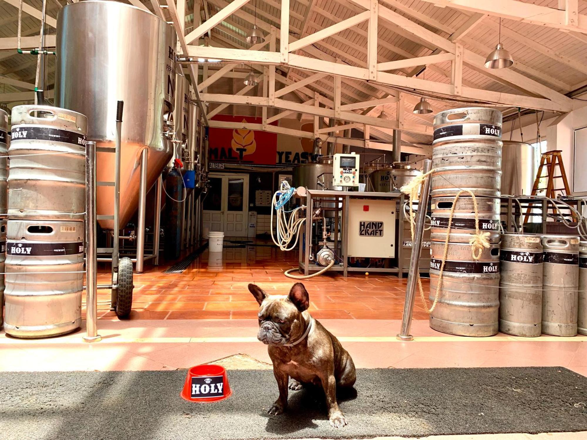 Beer Hotel Iguazu Puerto Iguazu Ngoại thất bức ảnh